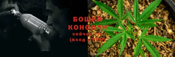 PSILOCYBIN Инсар