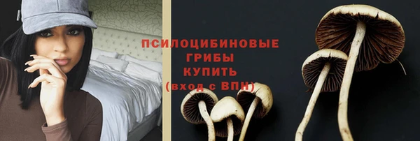 амф Приозерск