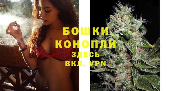spice Весьегонск
