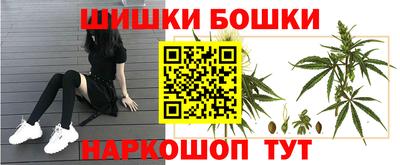 крисы Балаково