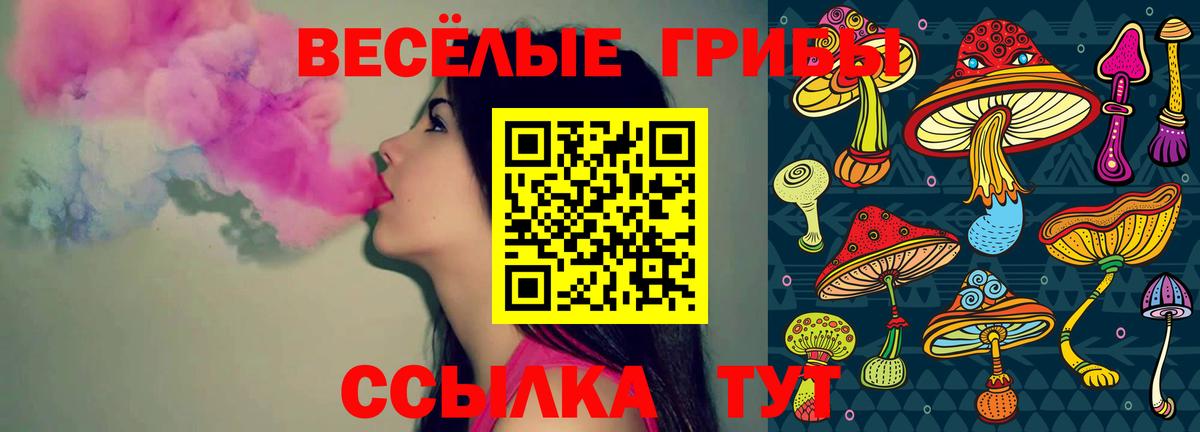 Псилоцибиновые грибы Cubensis  Ахтубинск 